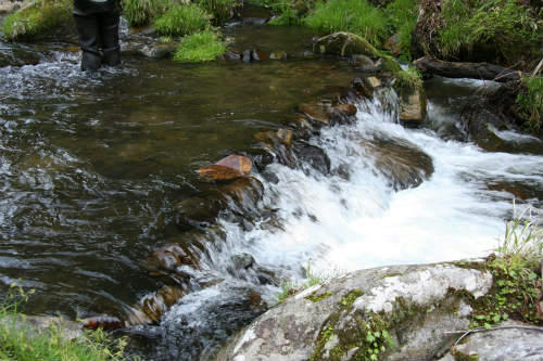20100429_2.jpg