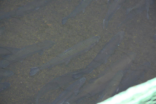 20100501.jpg