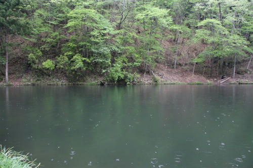 20100510_3.jpg