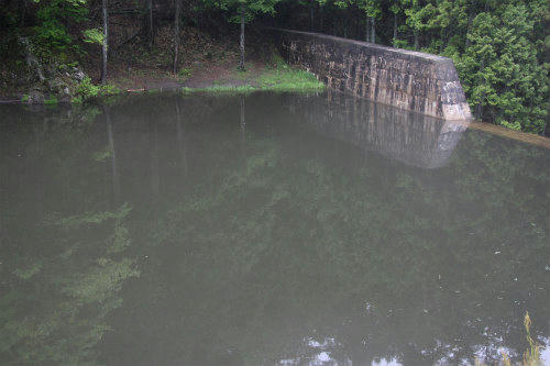 20100520_1.jpg