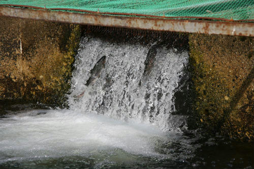 20100521_2.jpg