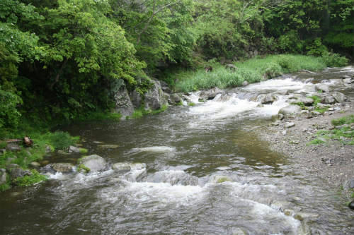 20100524_1.jpg