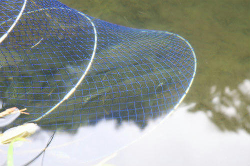 20100606_4.jpg