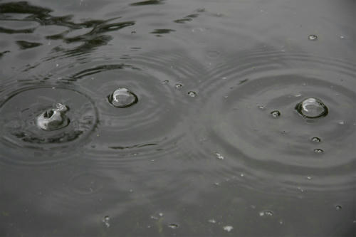 20100607.jpg
