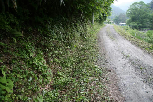 20100608_3.jpg