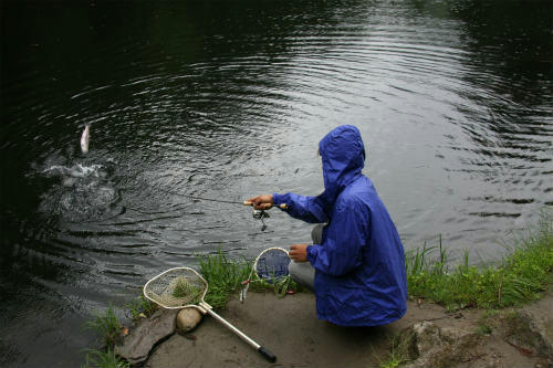 20100613_1.jpg
