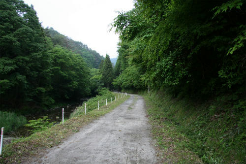 20100608_1.jpg