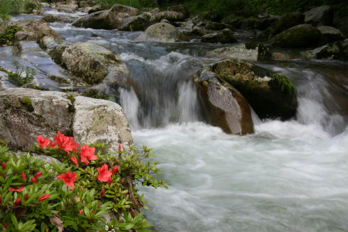 20100622_1.jpg