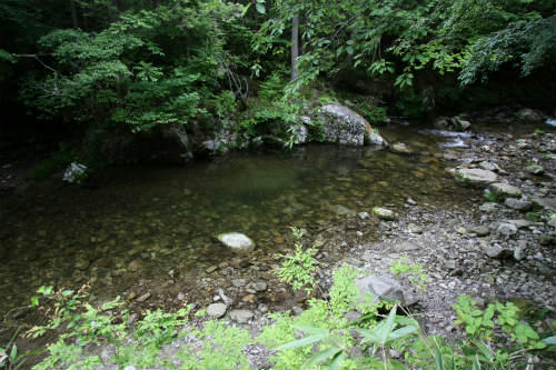 20100614_1.jpg