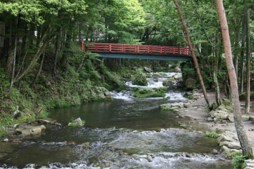 20100619_1.jpg