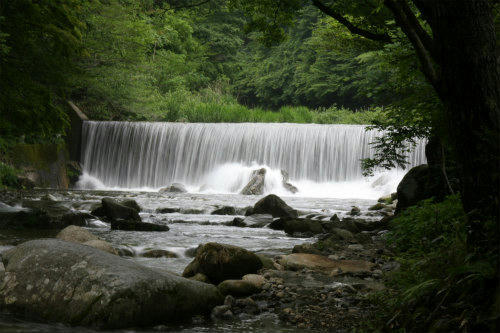 20100619_2.jpg