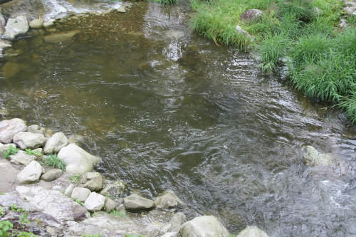 20100618_1.jpg