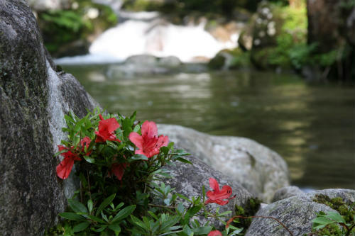 20100622_3.jpg