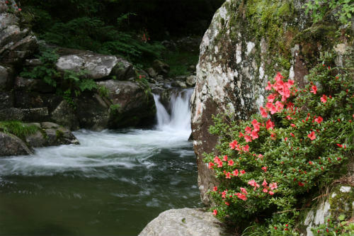 20100622_2.jpg