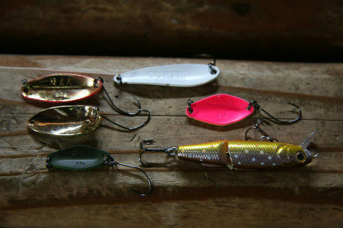 20100626_3.jpg