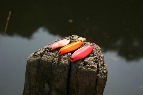 20100710_15.jpg