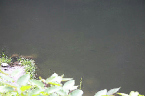 20100731_2.jpg