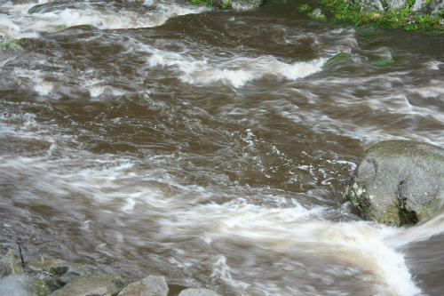 20100729_2.jpg