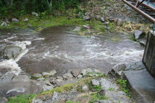 20100729_1.jpg