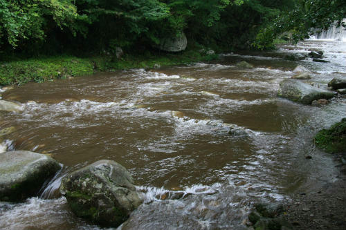 20100812_1.jpg