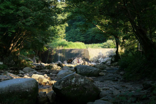 20100903.jpg