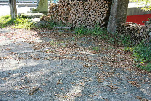 20100911_2.jpg