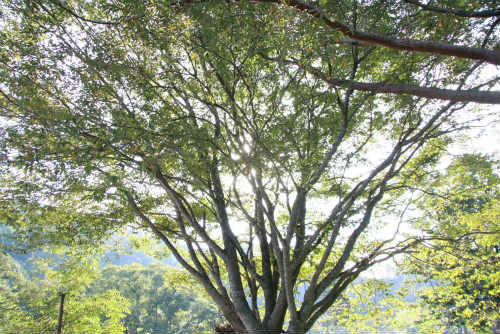 20100911_1.jpg