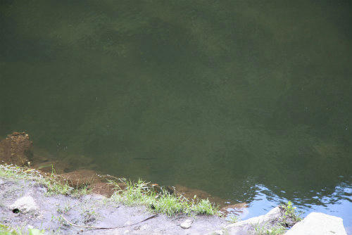 20100917_2.jpg