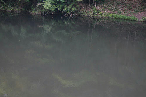 20100917_1.jpg