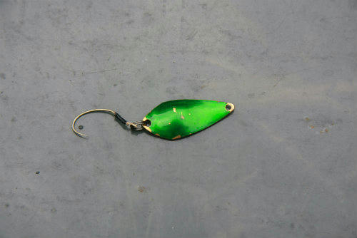 20100920_2.jpg