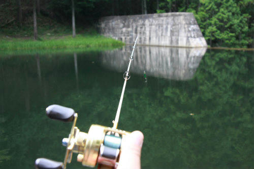 20100920_3.jpg