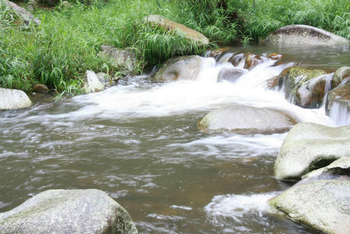 20100923.jpg