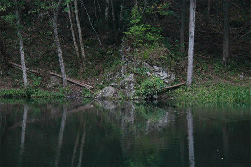 20101017_2.jpg