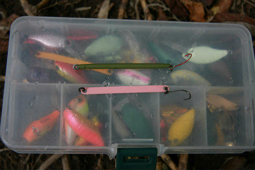 20101027_2.jpg