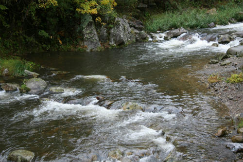 20101030_1.jpg