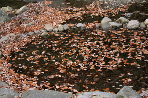 20101127.jpg
