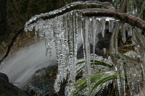 20101225_6.jpg