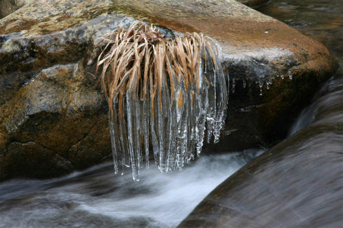 20101225_4.jpg