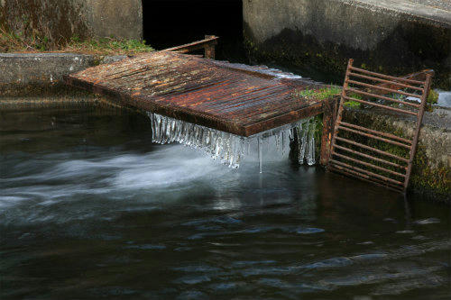 20101225_2.jpg