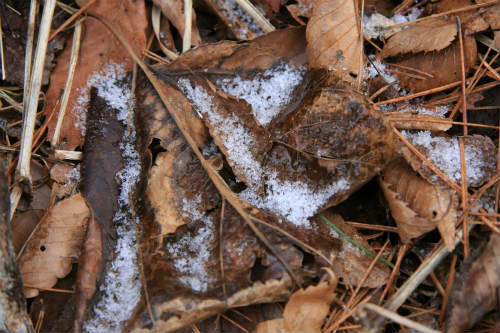 20101225_1.jpg