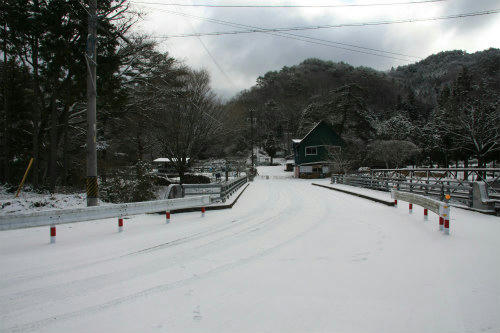 20110101_6.jpg