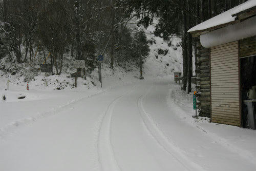 20110116_2.jpg