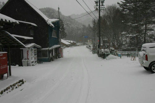 20110116_1.jpg