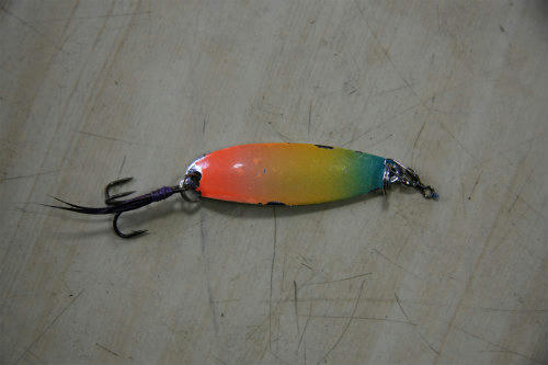 20110109_2.jpg