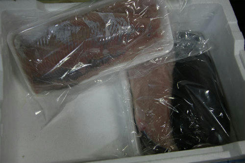 20110109_5.jpg
