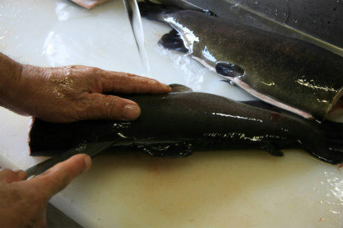 20110109_4.jpg