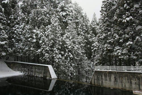 20110117_1.jpg