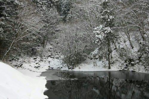 20110117_2.jpg