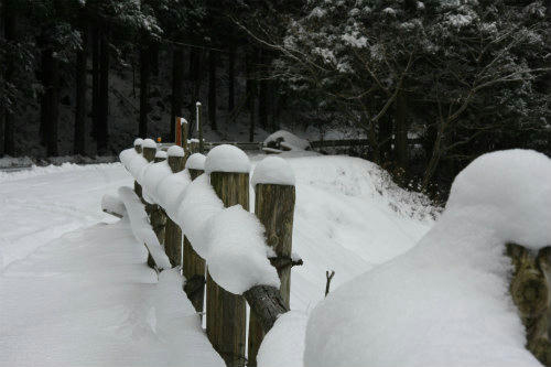 20110117_3.jpg