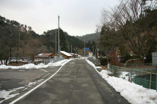 20110124.jpg